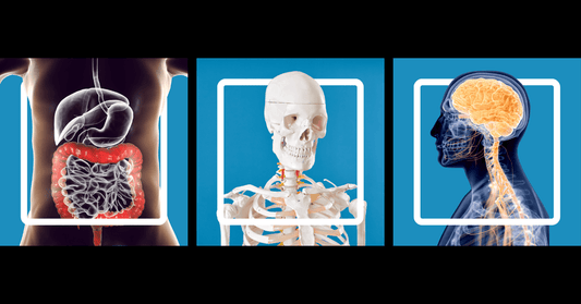 Which Magnesium is right for you? Know the difference between Magnesium Glycinate, Citrate, and Aquamin.