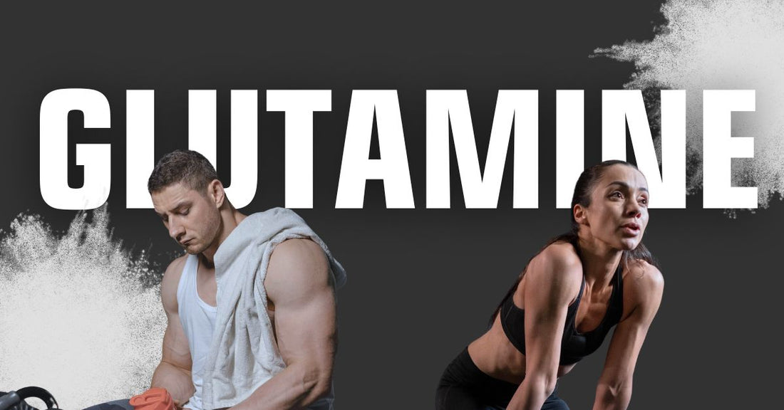 Glutamine: Your Recovery & Gut Health Powerhouse